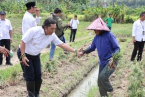 Capaian Kinerja Pemprov Banten Era Penjabat Gubernur Al Muktabar
