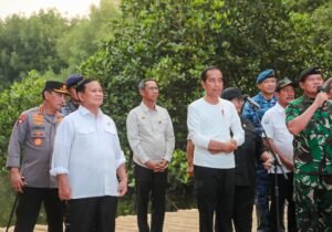 Pemprov DKI Jakarta Dukung Pelestarian Kawasan Mangrove