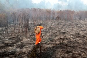 Mendagri Terbitkan Instruksi bagi Kepala Daerah Seluruh Indonesia Antisipasi Karhutla