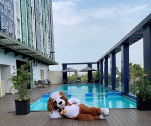 Paket Staycation Seru Swiss-Belinn Modern Cikande untuk Keluarga