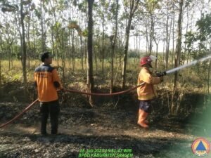 Karhutla Terjadi di Dua Wilayah Jawa Tengah