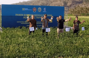 Petani Kabupaten Bantul Untung Tanam Bawang Merah Agro Electrifying