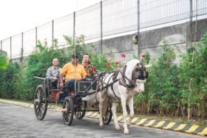 Grand Mercure Malang Mirama Ajak Naik Dokar Saat Liburan