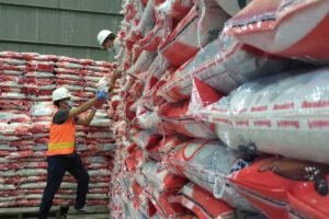 Ketersediaan Stok Beras Nasional Aman Hingga Akhir Ramadan