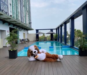 Seru dan Terjangkau Promosi Makan dan Berenang di Swiss-Belinn Modern Cikande