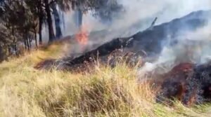Pemkab Ngawi Tetapkan Status Tanggap Darurat Kebakaran Gunung Lawu Seluas 30 Hektare