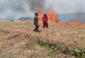 Kebakaran Lahan di Area Bandara Kertajati Berhasil Ditanggulangi
