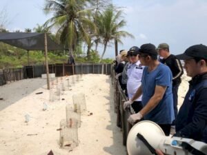 Wako Hendri Septa Berlayar ke Pulau Kembangkan KWT Gunung Padang