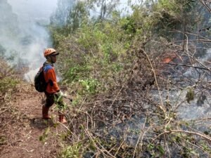 Tim Gabungan Masih Berupaya Padamkan Api di Lereng Gunung Panderman Kota Batu