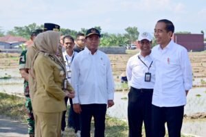 Pemerintah Siapkan Tambahan Subsidi Pupuk Dorong Produktivitas Petani