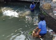 DPUPR Denpasar Lakukan Pembersihan Kawasan Aliran Sungai Antisipasi Musim Penghujan