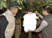 Pemko Padang Lakukan Operasi Penertiban APK dan BK