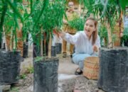 Kelompok Tani Agar Manfaatkan Lahan Kosong Milik Warga Medan