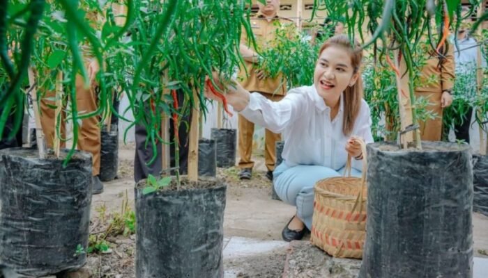 Kelompok Tani Agar Manfaatkan Lahan Kosong Milik Warga Medan