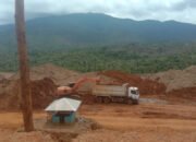 Provinsi Sulsel Dorong Tambang Berizin untuk Suplai Kebutuhan Material IKN