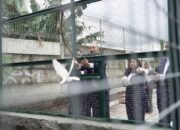 Aviary Jadi Fasilitas Baru dan Edukasi untuk Tamu Menginap di Grand Mercure Malang Mirama