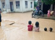 Banjir dan Tanah Longsor Melanda Aceh Selatan Sebabkan 8.142 Jiwa Terdampak