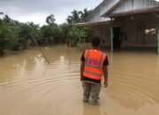 Sebanyak 812 Jiwa Terdampak Banjir di Kabupaten Luwu Utara