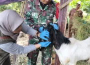 Pemkab Pasuruan Gencarkan Pemeriksaan Hewan Kurban Jelang Iduladha 1445 Hijriah
