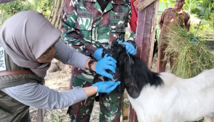 Pemkab Pasuruan Gencarkan Pemeriksaan Hewan Kurban Jelang Iduladha 1445 Hijriah