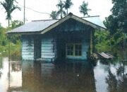 Banjir Landa Kabupaten Mimika Hingga 495 Keluarga Terdampak