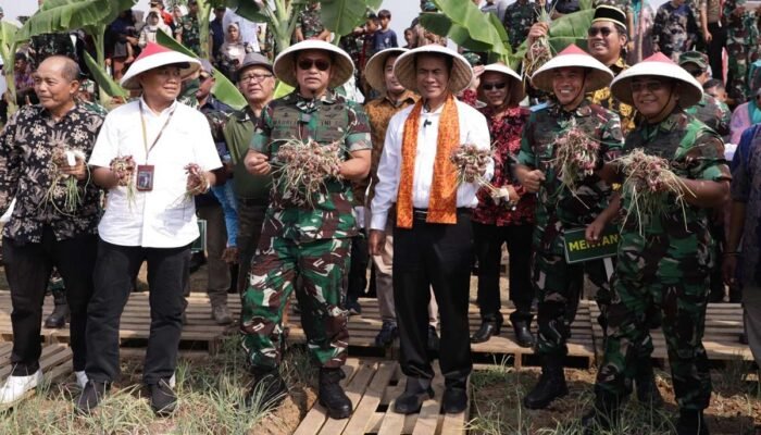 Pemkab Bekasi Sambut Baik Panen Raya Bawang Merah