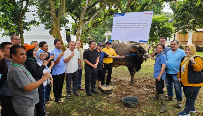 Kesehatan Hewan Kurban di Provinsi Banten Harus Diutamakan