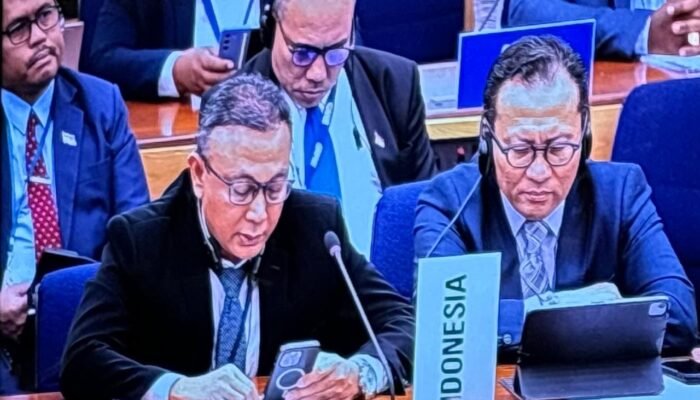 Keselamatan Pelayaran Disampaikan Indonesia pada Sidang IMO Council 132