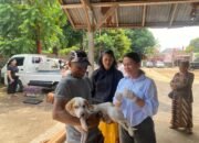 Cakupan Vaksinasi Rabies Kota Denpasar Capai 60.772 HPR Hingga Juli 2024