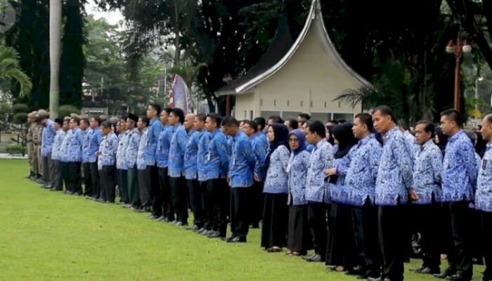 Sebanyak 492 Formasi CPNS Pemkot Padang Dibuka untuk Tahun 2024