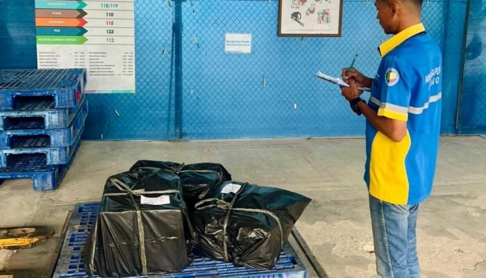 Bandara di Indonesia Memiliki Penanganan Kargo dan Pos