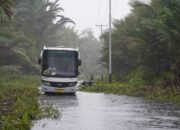 Sebanyak 322 Trayek Terlayani Angkutan Jalan Perintis