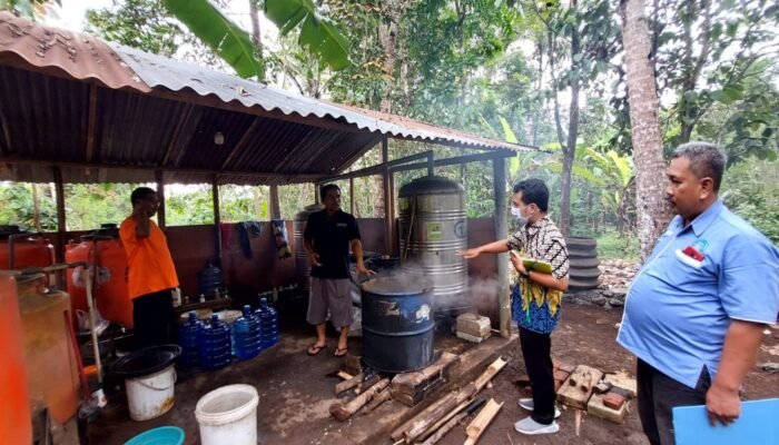 Minat Petani Jateng Budidayakan Tanaman Organik Makin Tinggi