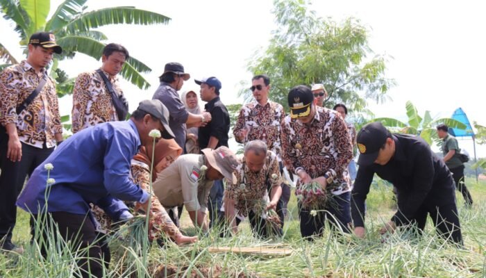 Pemkab Tangerang dan Cirebon Kerja Sama Pemenuhan Kebutuhan Bawang