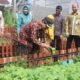 Pemkab Bogor Luncurkan Saung Inflasi untuk Jaga Stabilitas Pangan