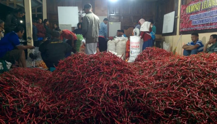 Pemkab Sleman Lakukan Stabilisasi Harga Cabai