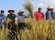 Pemkab Semarang Diharapkan Jadi Sentra Beras Organik