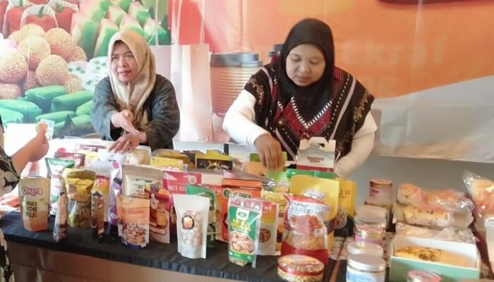 Investasi di Kabupaten Karawang Triwulan I/2025 Capai Rp15,3 Triliun