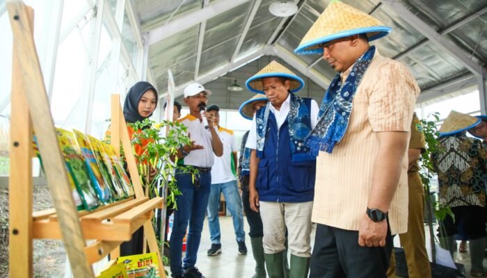 Pemprov Jateng Komitmen Sukseskan Swasembada Pangan