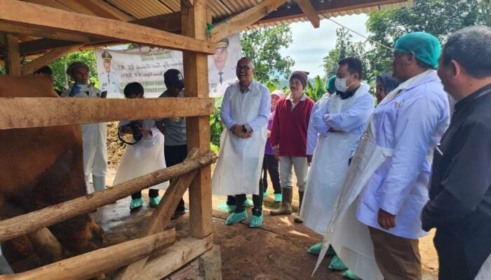 Pemkab Garut Luncurkan Gerakan Ring Vaksinasi PMK