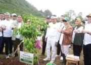 Sebanyak 50.000 Bibit Pohon Ditanam untuk Hijaukan Kawasan Puncak Bogor