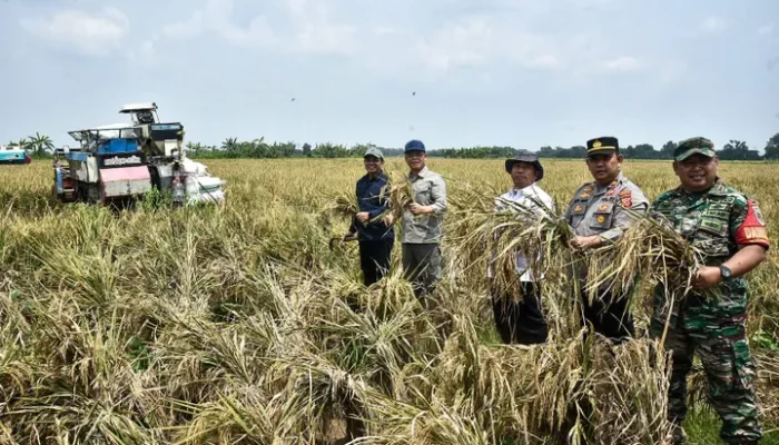 Pemkab Karawang Tingkatkan Produksi Pertanian dan Ketahanan Pangan