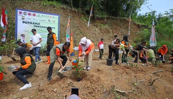 Sebanyak 5.880 Bibit Pohon untuk Pemulihan SDA dan Lingkungan Pascabencana di Kabupaten Purworejo