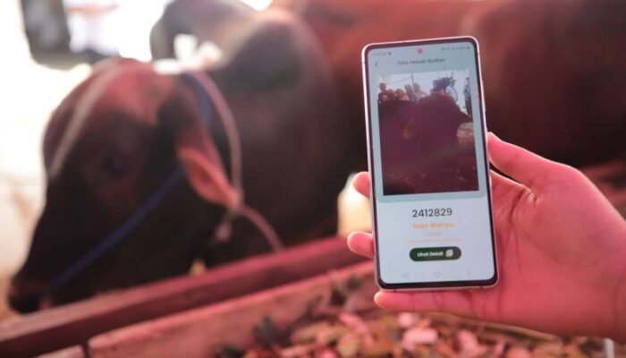 DKPP Kota Bandung Libatkan Tim Ahli dan Teknologi Digital Periksa Hewan Kurban