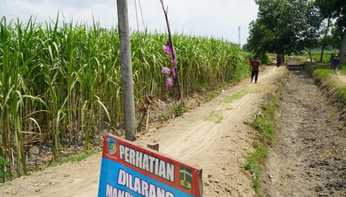 Pemprov Jatim dan SGN Sediakan 70.000 Hektare Lahan Tebu untuk Swasembada Gula
