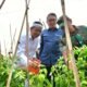 Gubernur Jabar Panen Raya Holtikultura di Gunung Hejo