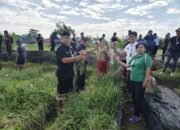 Pemkot Denpasar Sukses Panen Bawang Merah di Subak Buaji