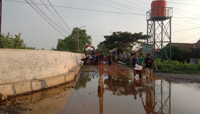 Pekalongan Ubah Lahan Eks Rob Jadi Kawasan Pertanian