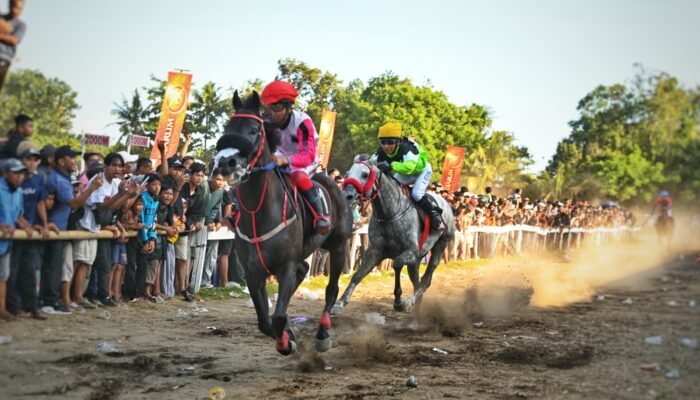 Proyeksi Jateng Jadi Sentra Olahraga Pacuan Kuda dan Equestrian