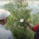 Dinas Kehutanan Jabar dan PT Pertamina Luncurkan Program Flora Legacy